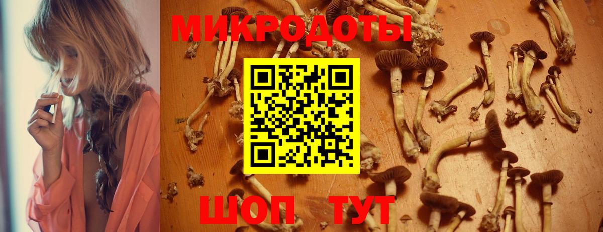 Кузнецк  продажа наркотиков  Вход с VPN  Галлюциногенные грибы Magic Shrooms 