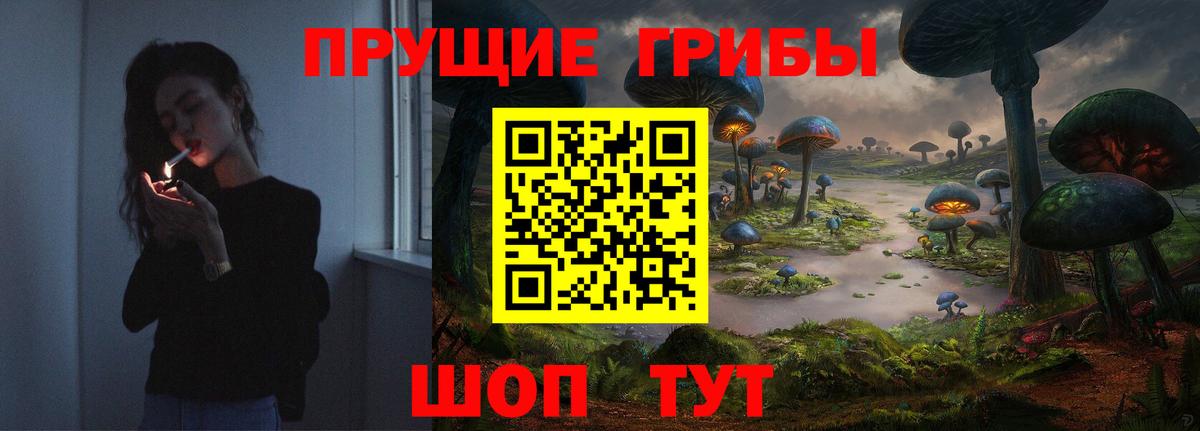 Псилоцибиновые грибы Psilocybe Кузнецк